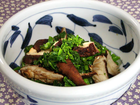 小松菜の花芽を摘んで 焼き椎茸とレモン醤油で和えました 4 04 04 撮影